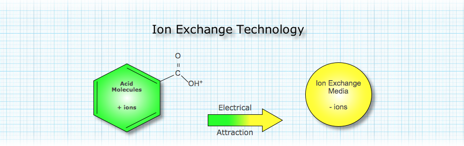 ion exchange technology